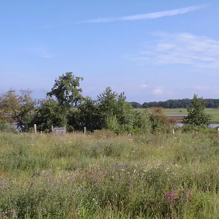 Reetdorf Geltinger Birk Atelierhaus Strandwall Nieby (Nieby, Schleswig-Flensburg)